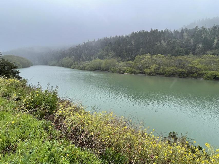 The Navarro River in coastal Northern California