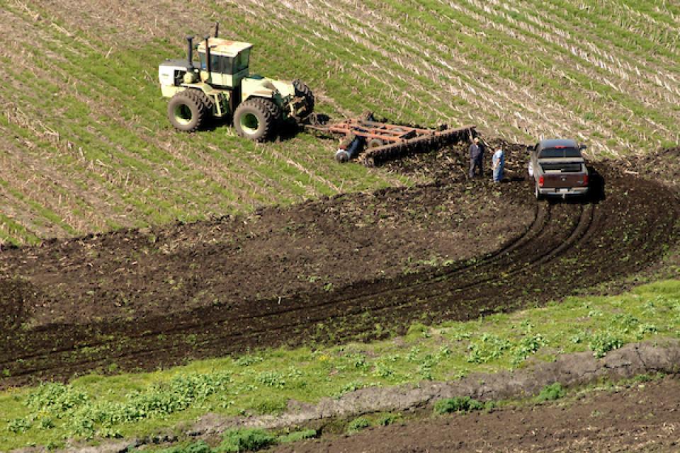 The Delta's rich peat soil has been productive farming land for generations, but tilling the soil worsens subsidence of Delta islands and releases carbon, a greenhouse gas, into the atmosphere.