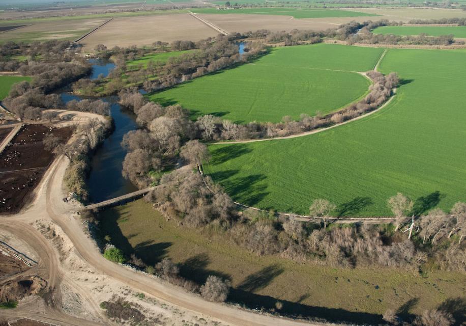 Floating vegetation such as water hyacinth has expanded in the Delta in recent years, choking waterways like the one in the bottom of this photo.