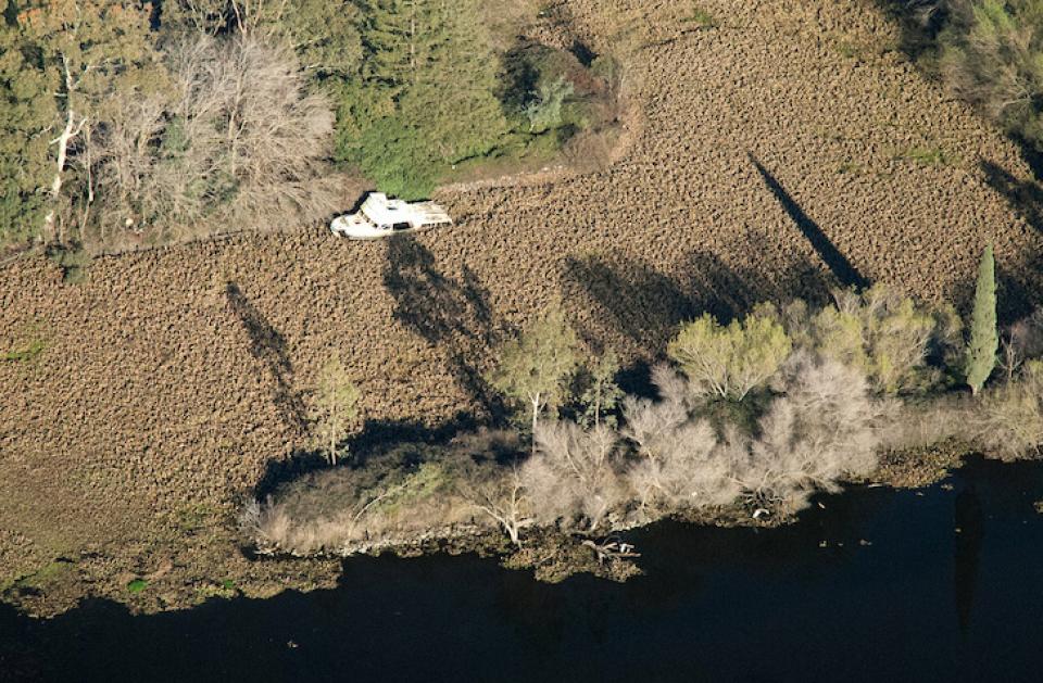 Invasive aquatic vegetation surrounds an abandoned boat in the Delta. 