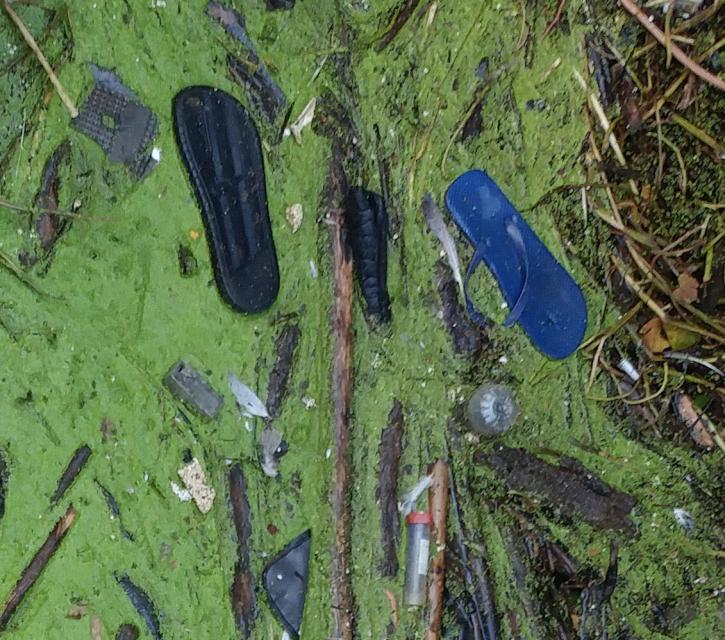 Image shows sandals and other plastic debris that litter an urban stretch of the Sacramento River.