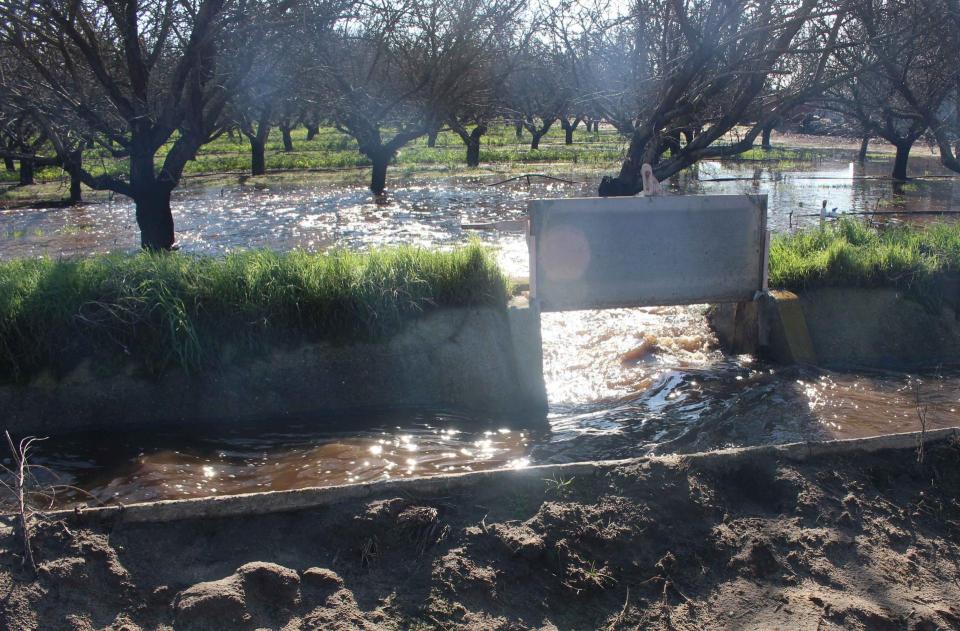 Flooded almond orchard in Turlock, Calif. 