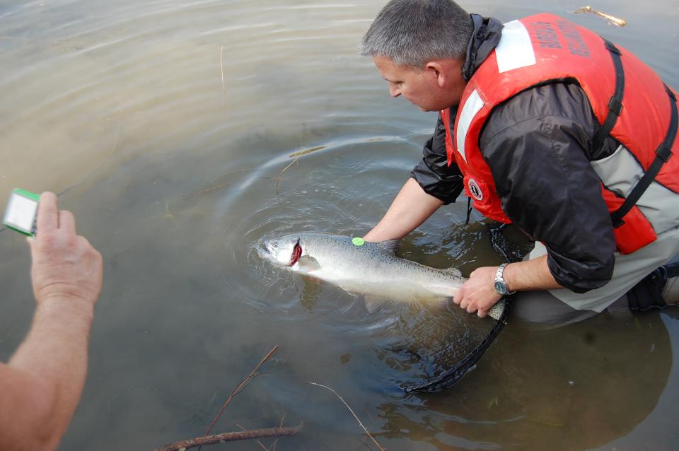 Salmon release at Camp Pashayan