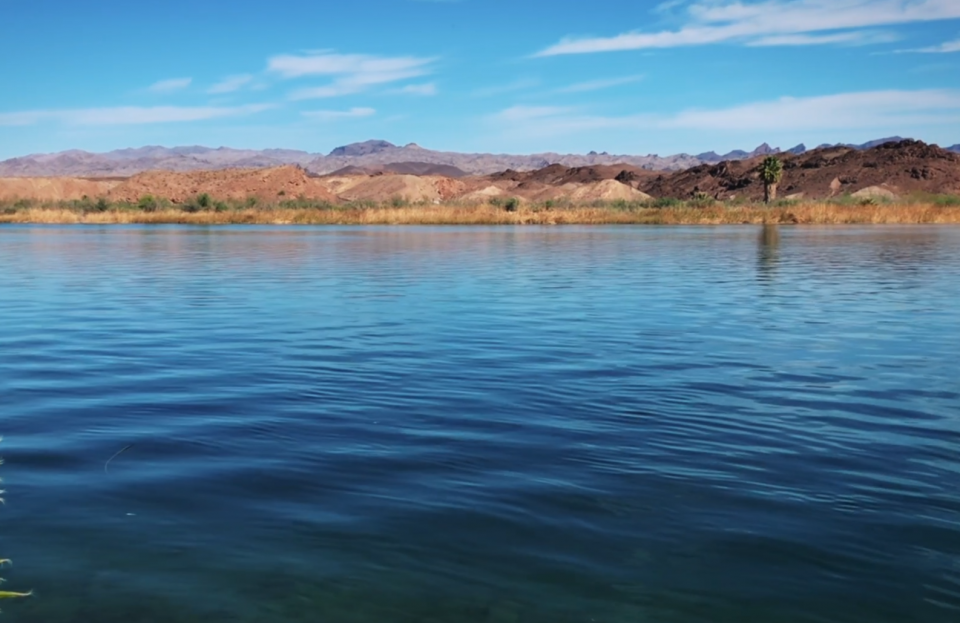 Photo of Colorado River near Parker, AZ