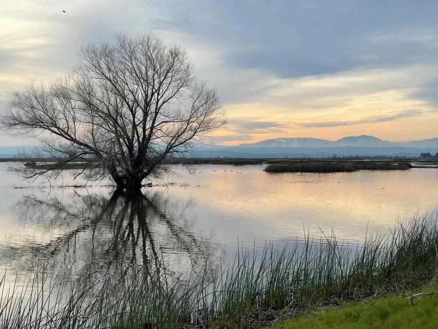 Sacramento National Wildlife Refuge