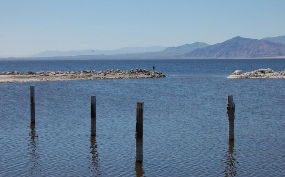 Since its formation in 1905, the Salton Sea has acted as a collection basin for a significant portion of agricultural runoff in the Imperial, Coachella and Mexicali valleys.