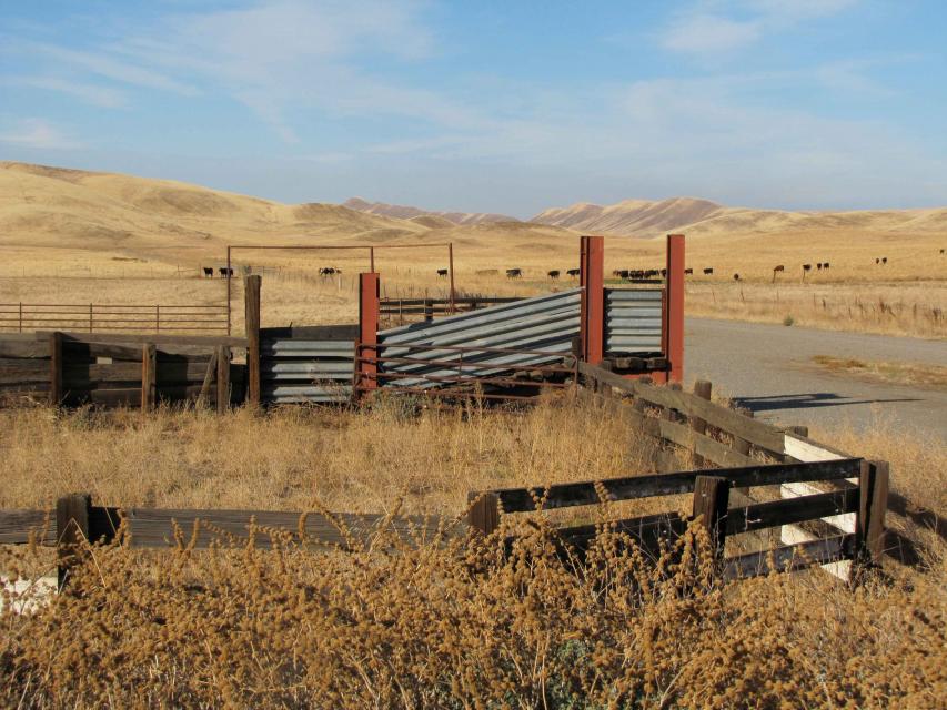 Proposed site of the Sites Reservoir in Colusa County, Northern California. 