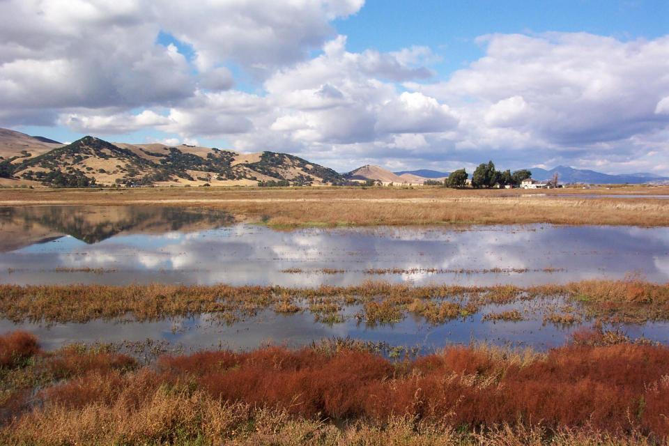 Suisun Marsh, part of the San Francisco Bay-Delta estuary, is the largest contiguous brackish water marsh on the West Coast of North America.