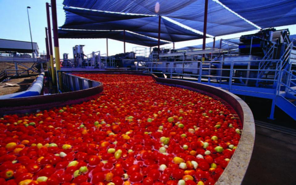 A 2011 report prepared for the Northern California Water Association called “Efficient Water Management for Regional Sustainability in the Sacramento Valley” found that sustainability “is generally viewed as having three interrelated aspects,” economic or financial considerations, environmental protection and stewardship and society/community and individual human well-being.