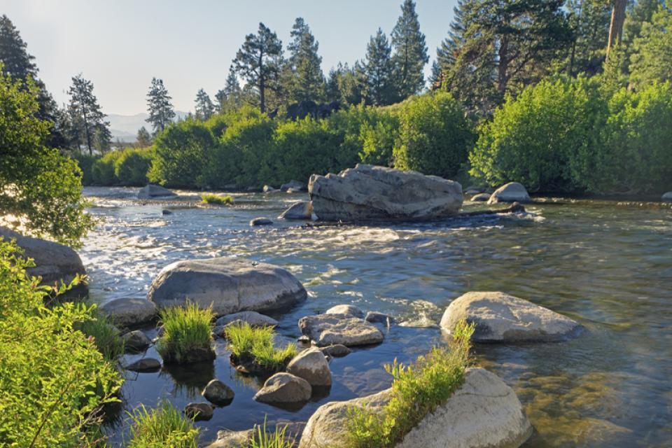 Truckee River - Water Education Foundation