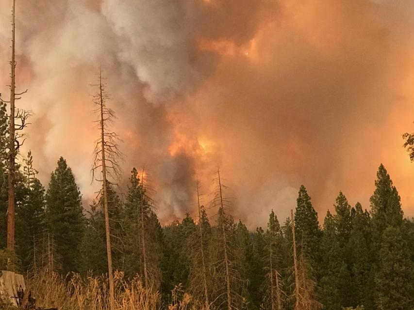 The 2018 Ferguson fire burned nearly 97,000 acres around Yosemite National Park, fueled in part by beetle-killed trees.