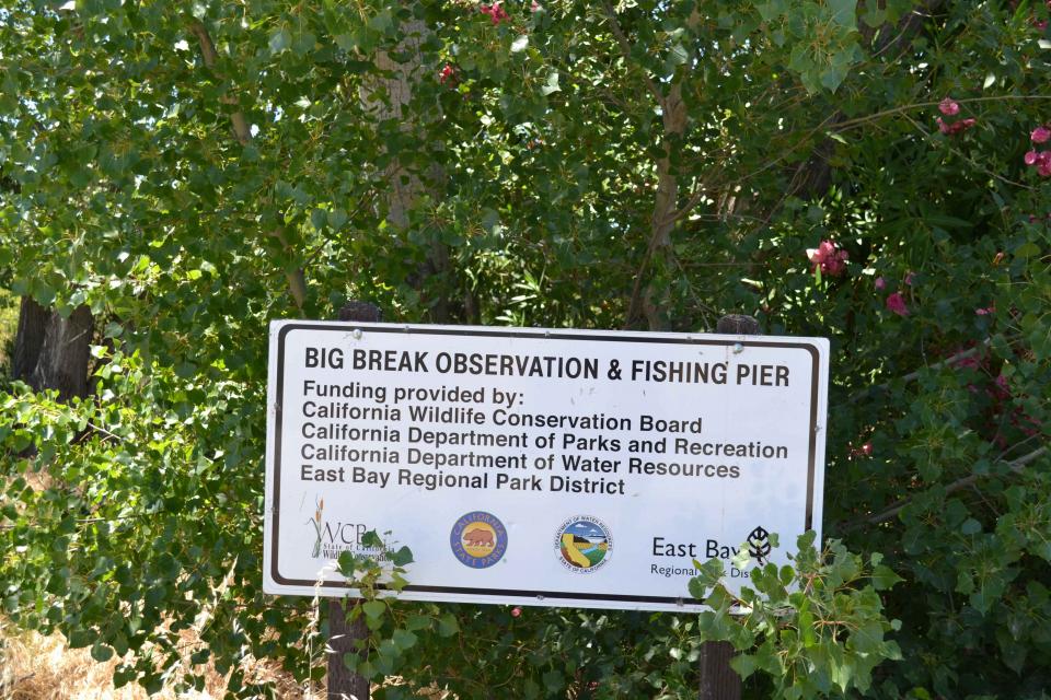 Visitors can catch a glimpse of the old Delta at Big Break Regional Shoreline in Oakley. 