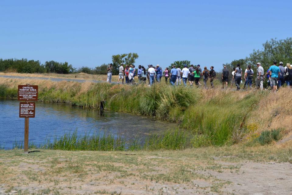 Visitors can catch a glimpse of the old Delta at Big Break Regional Shoreline in Oakley. 