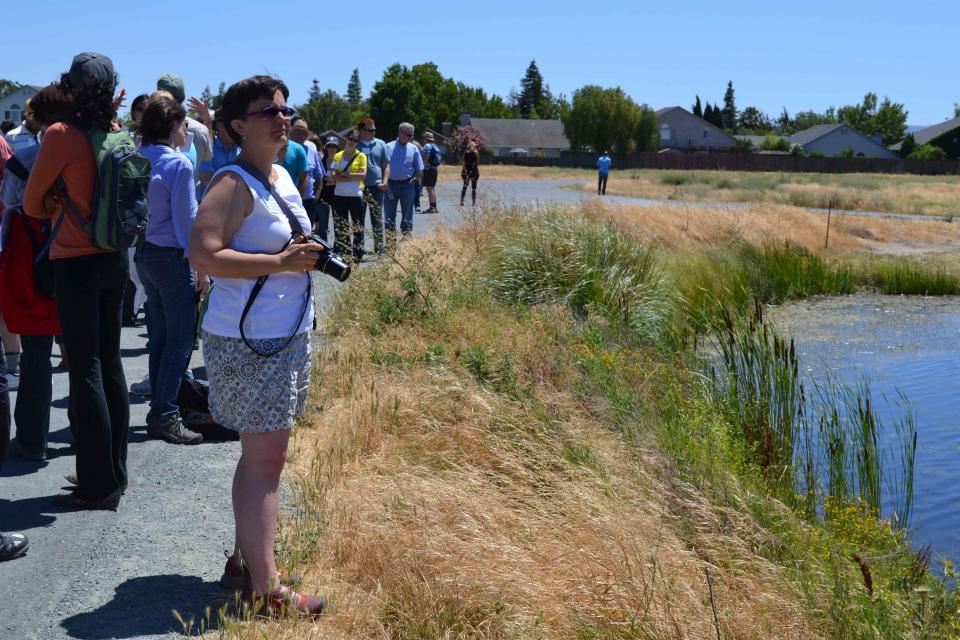 Visitors explore habitat at Big Break Regional Shoreline in Oakley. 