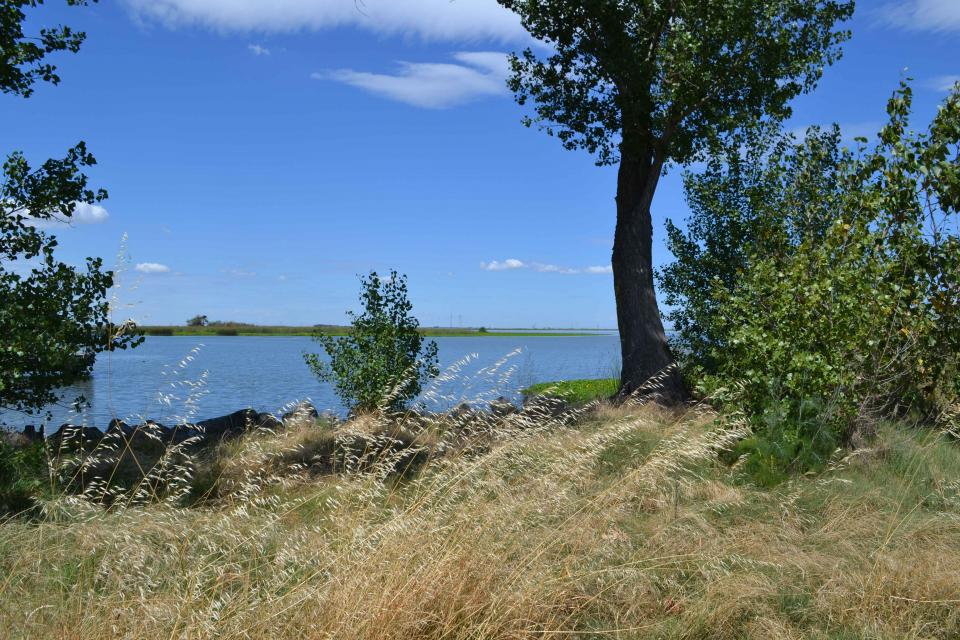 Visitors can catch a glimpse of the old Delta at Big Break Regional Shoreline in Oakley. 