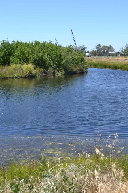 Big Break Regional Shoreline offers habitat for a variety of birds and animals. 