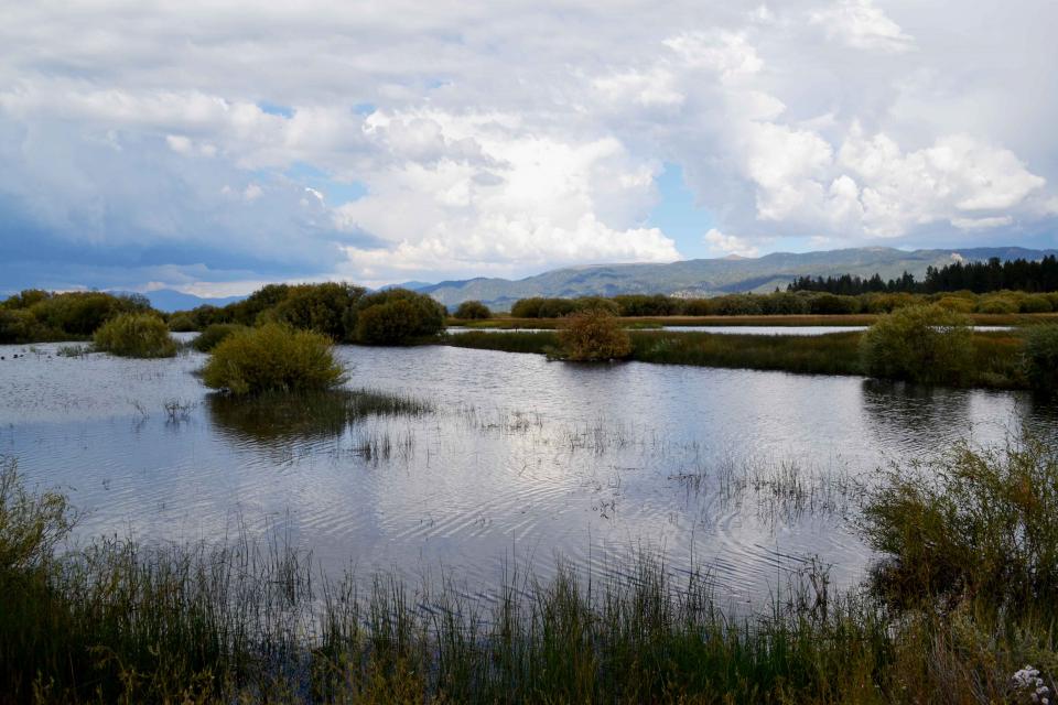 The 2017 Headwaters Tour visited this restored alpine wetlands at South Shore’s Upper Truckee River Marsh, the Tahoe Basin’s largest wetland area. 