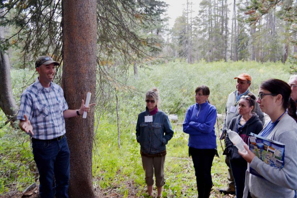Tour participants learned how timber companies like Sierra Pacific Industries manage their forest land.