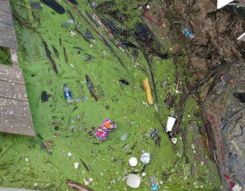 Trash floating in the Sacramento River.