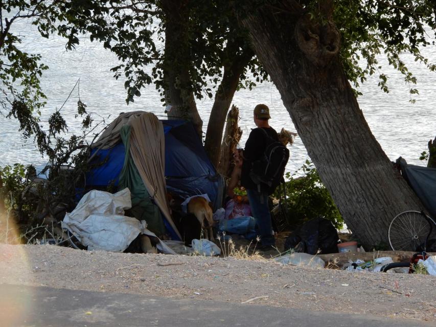 A homeless camp set up along the Sacramento River near downtown Sacramento. 