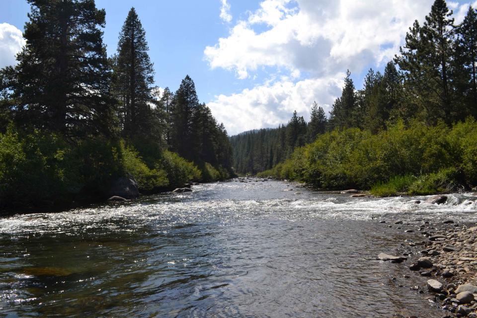 Sierra Nevada headwaters stream