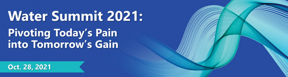 Banner logo of the 2021 Water Summit