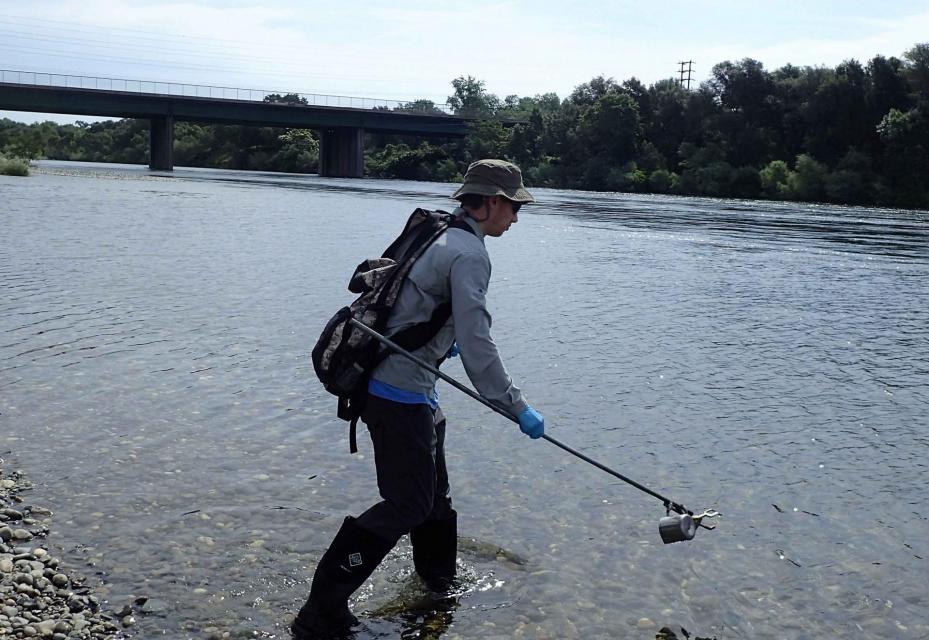 Water from the American River in Sacramento is sampled as part of a study to identify whether fecal pollution in the river is from human, pet, wildlife or livestock sources. 