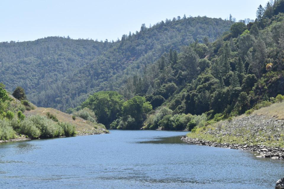 The American River 