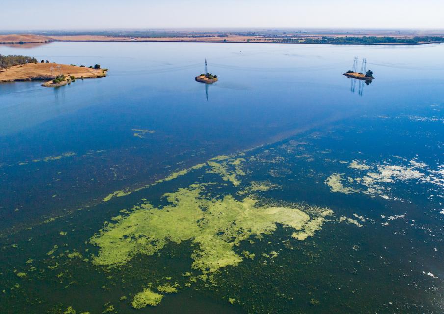Aerial photo of algal blooms in O'Neill Forebay in Merced County.y