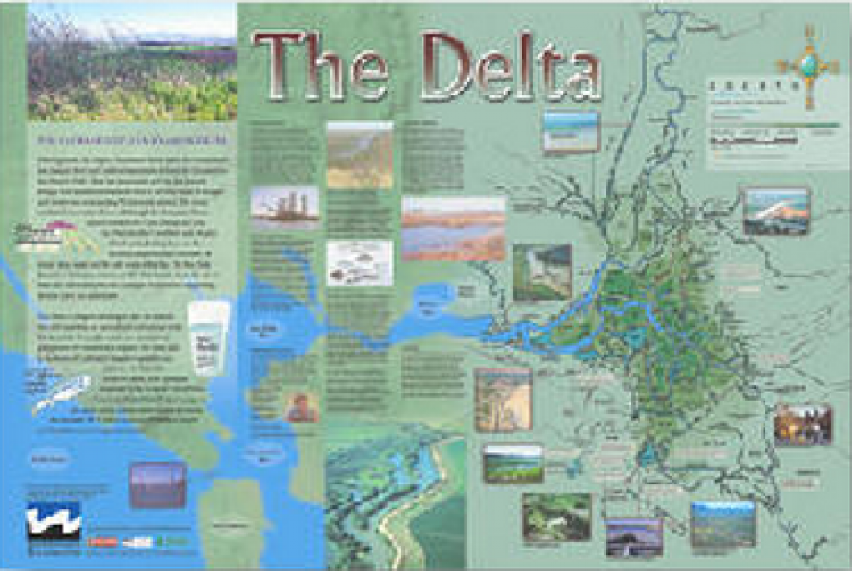 Stockton Delta Tide Chart