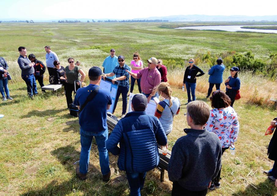 Image shows participants on our Bay-Delta Tour at Suisun Marsh.