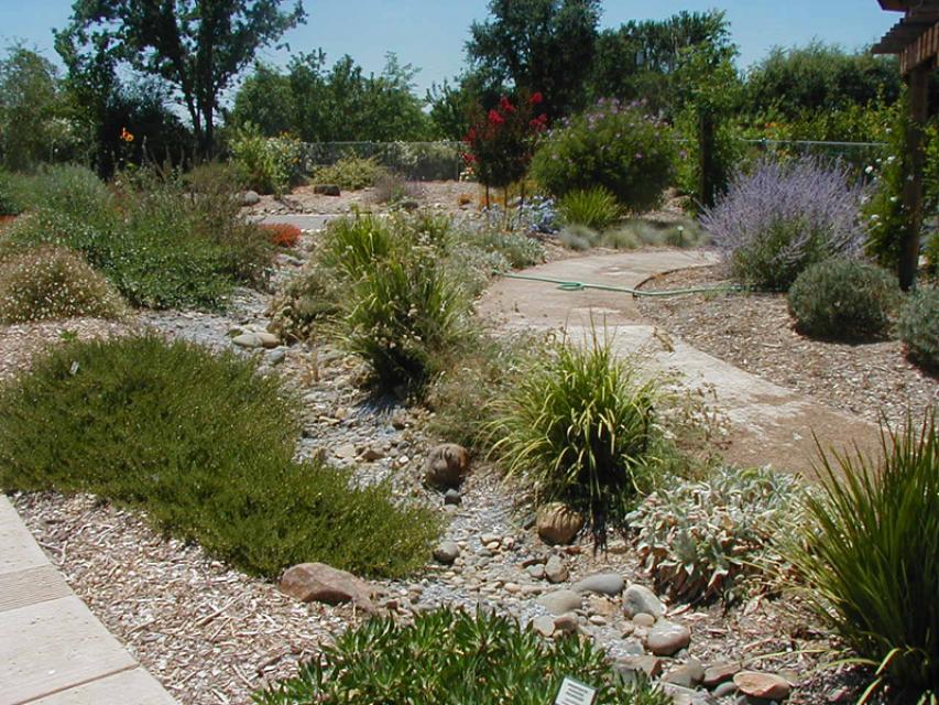 Drought-tolerant landscaping reduces the amount of water used on traditional lawns