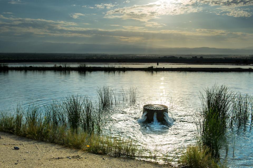 Photo of groundwater gushing into a percolation basin 