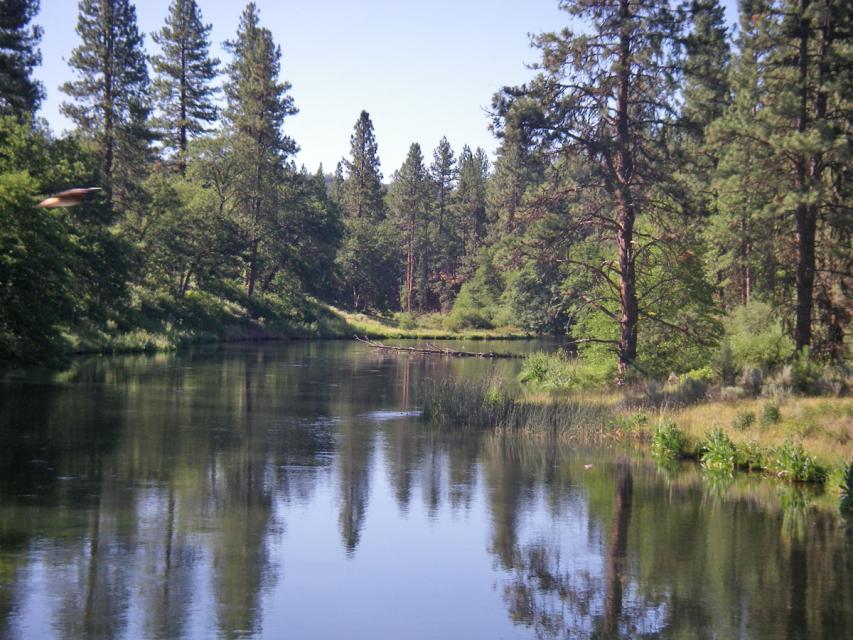 Image shows Hat Creek, a tributary of the Pit River in Northern California.
