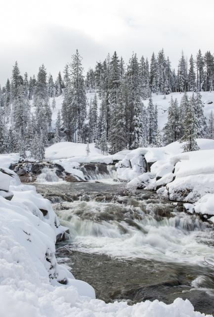 A view of the South Yuba River in Emigrant Gap on March 22, 2016. The snowpack was 89 percent of statewide normal for this date.