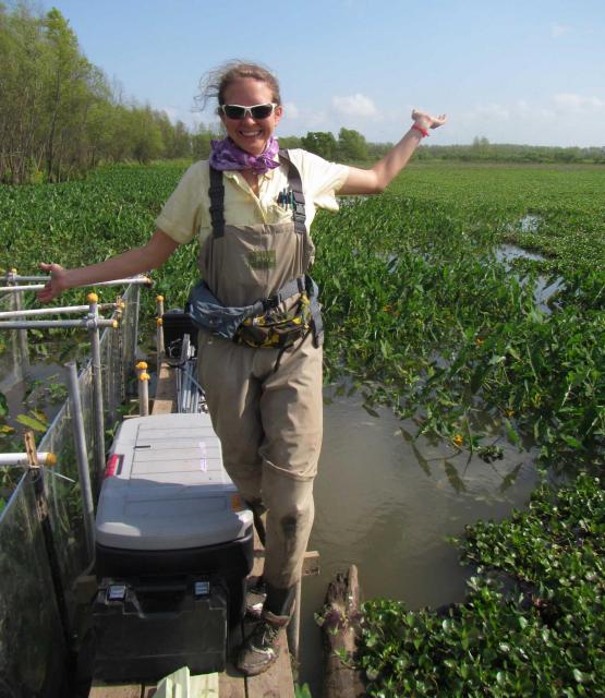 Delta Lead Scientist Laurel Larsen has spent her career studying the intricacies of wetlands environments, such as this marsh in southern Louisiana. In the Sacramento-San Joaquin Delta, Larsen will face a challenging environment that has confounded water management for decades. 