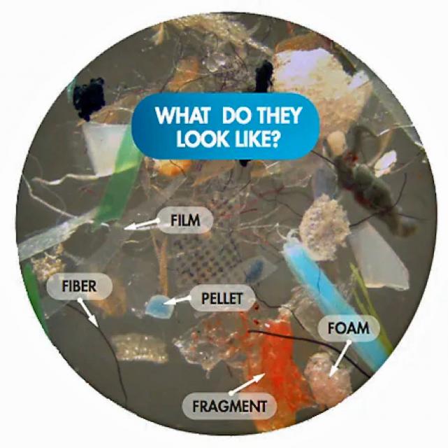 Microplastics