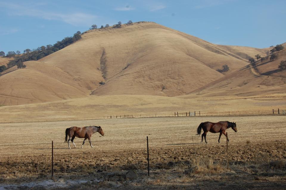 Proposed location of Sites Reservoir. 
Photo by Jennifer Bowles