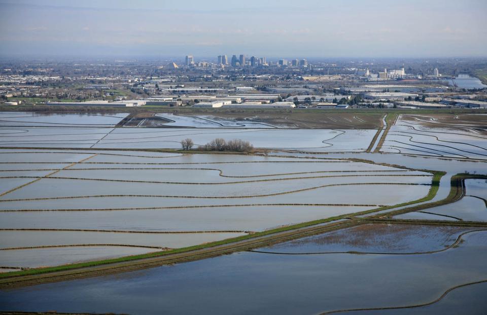 Sacramento River flood control measures