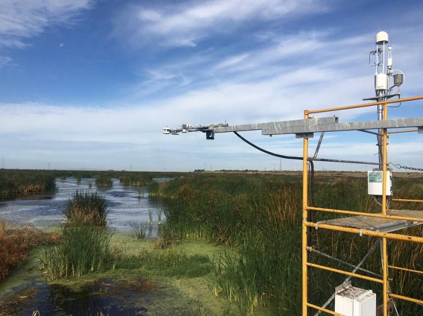 Equipment on this tower measures fluctuations in greenhouse gas emissions for managed wetlands on Sherman Island in the Sacramento-San Joaquin Delta.