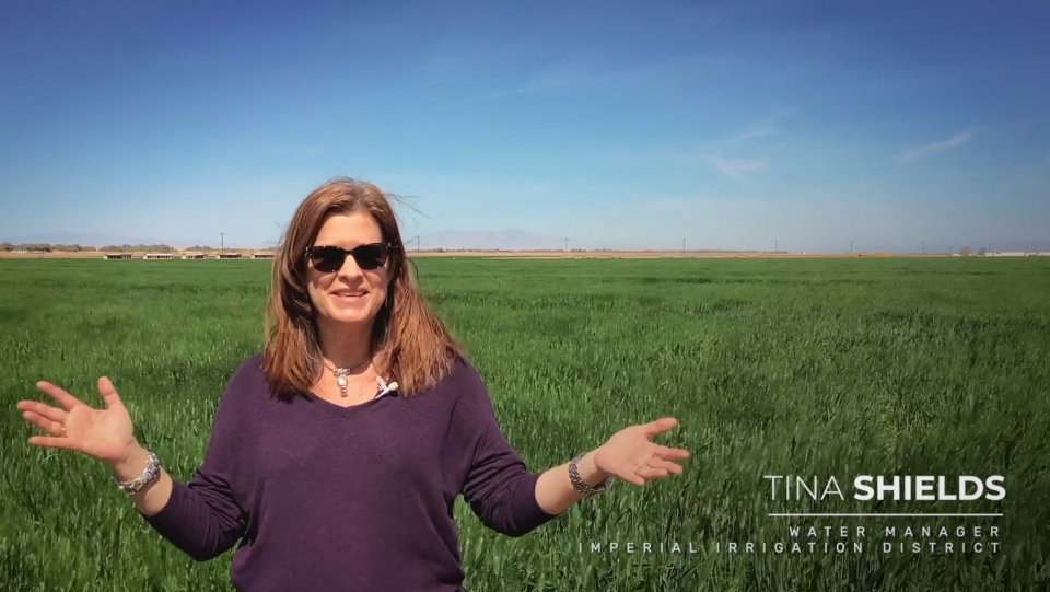Photo of Tina Shields, Imperial Irrigation District