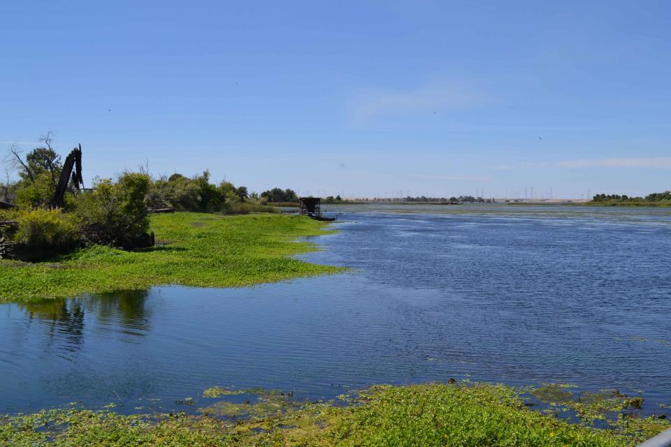 The Sacramento-San Joaquin Delta