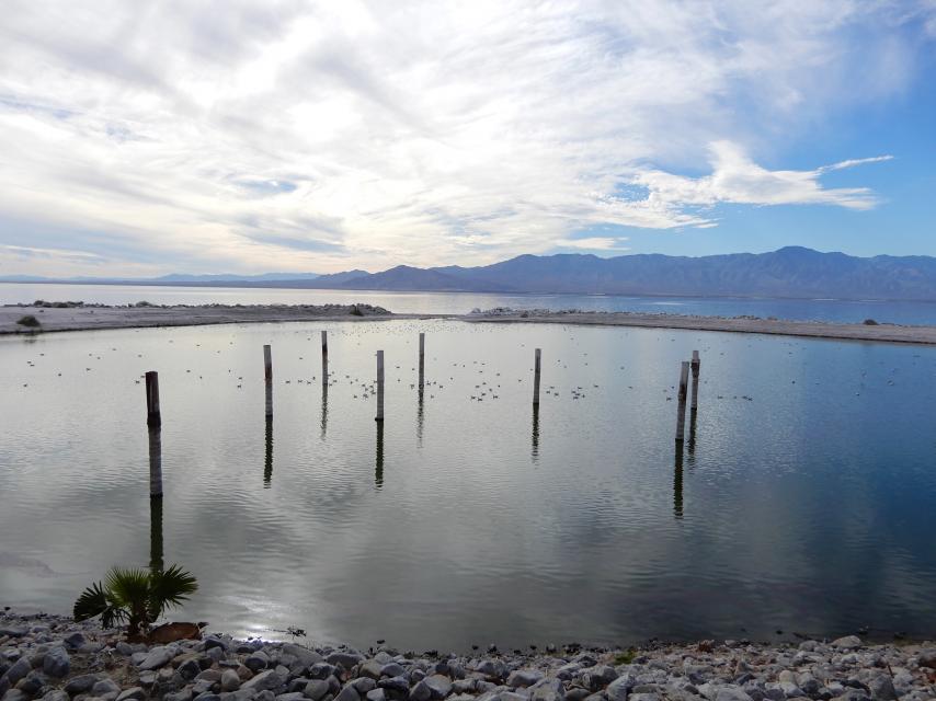 Salton Sea