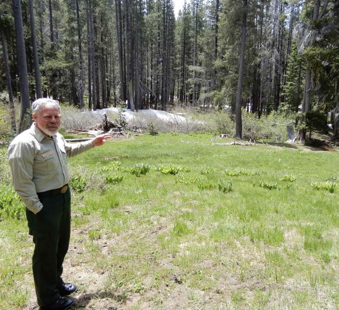 District Ranger Lon Henderson with Tahoe National Forest points toward an overgrown section of forest within the Blue Forest project area. 