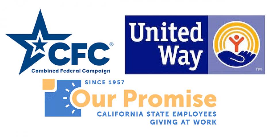 Workplace giving campaigns at the local, state and federal level.